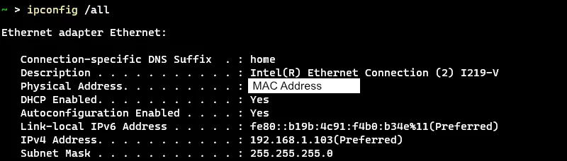 ipconfig output showing the MAC address